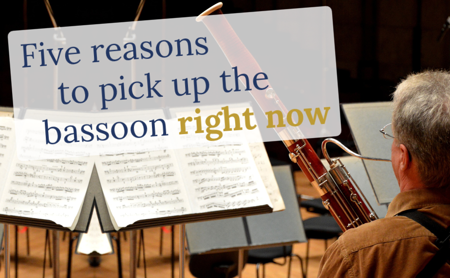 Five reasons to pick up the bassoon right now by Double Reed Ltd.