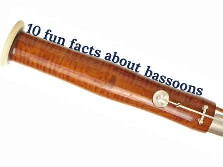 10 Fun Facts About Bassoons by Double Reed Ltd.