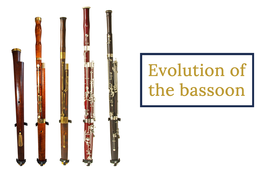 Evolution of the bassoon